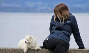 Kvinna rastar sin hund
