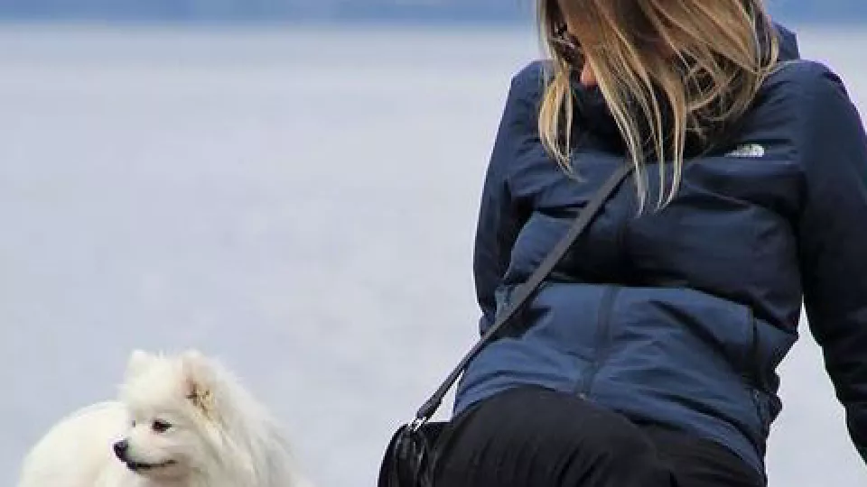 Flicka med hund