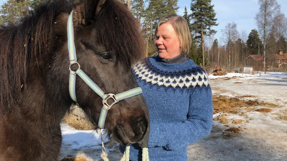 Brun häst och kvinna i blå tröja utomhus