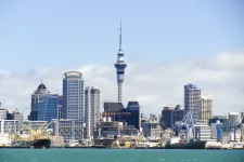 Vy över staden Auckland i Nya Zeeland